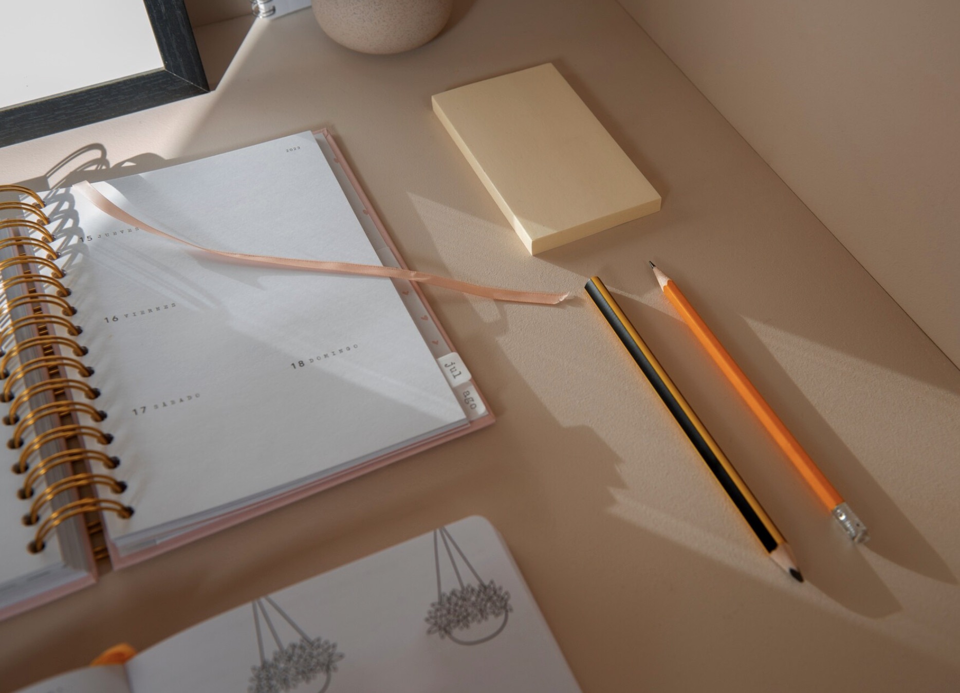 Servizi di design Muvia